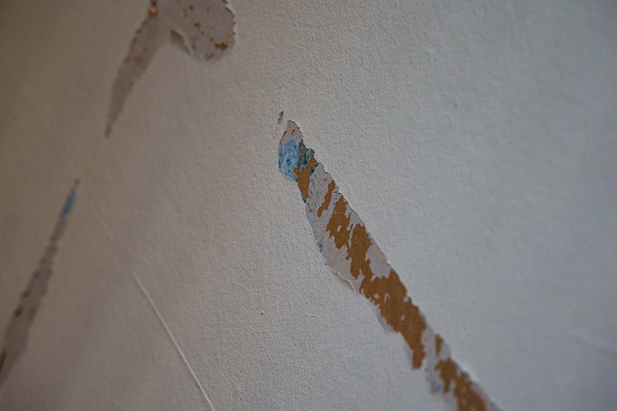 Mold Remediation service in Gainesville, FL